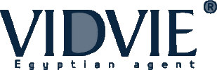 VIDVIE logo