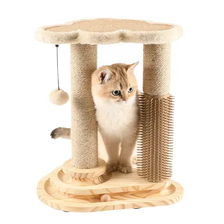 Pet Accessories assortment